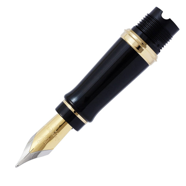 Waterman Expert nibs - Gold Plated