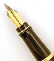 Waterman Expert, in black - Medium nib