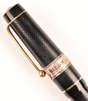 Summit S125 in black - Medium nib